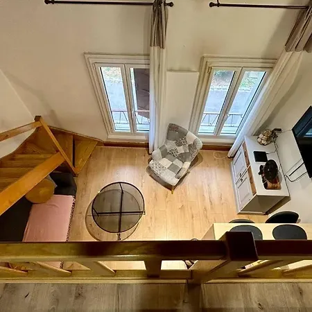 Charmant T2 En Duplex Avec Vue Sur Le Lac Leman דירה